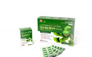 징코 써큐 젠시아 프리미엄